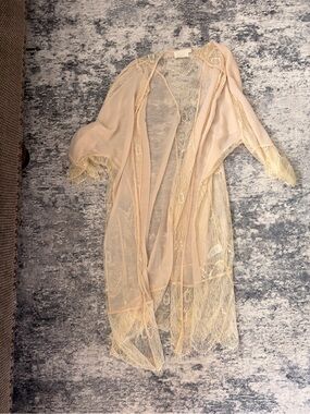 Lush Sheer Lace Kimono Robe in Pale Pink